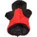 Bagima Ladybug Dog Costume - Warm Hooded Sweater for Small Dogs | Halloween & Winter Clothing | XL Black Enchanting Design - Buy Online on GoSupps.com