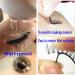 Self-Adhesive Black Fake Eyelash Strips - 40 Pieces | No Glue Needed for Easy Application - Buy Online on GoSupps.com