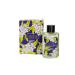 Phebo - Linha Origens - Colonia Verbena Tropical 200 Ml - (Origins Collection - Tropical Verben Eau de Toilette 6.76 Fl Oz) - Buy Online on GoSupps.com