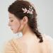 Leaf Elegant Wedding Hair Comb: Classic Bridal Hair Piece Accessory Side Clip with Vintage Retro Girls Woman Bride Pin Hair 2 - Buy Online on GoSupps.com