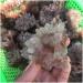 Decorative Crystal Natural Rough red Quartz Crystal Gemstone Cluster Reiki Crystal Stone Specimen Home Decor Crystal - Buy Online on GoSupps.com