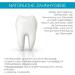 Logodent Natural Calcium Toothpaste - Vegan Fluoride-Free Mineral-Rich Algae Mild-Fresh Taste (3 Pack x 75ml) - Buy Online on GoSupps.com