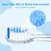 Buy Seago SG513/SG977/SGEK6/DT-K6 Electric Toothbrush Replacement Brush Heads - 10 Pack for Kids (Blue Medium) - International Shipping Available - Buy Online on GoSupps.com
