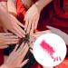 dijiusidy 1 Set Press on Nails Almond Fingernails Stick Solid Color Full Cover Art Decals Salon Supplies DIY Decorations No.10 rose - Buy Online on GoSupps.com