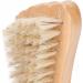 Wooden Nail Brush with Ergonomic Design Brush Hair for Cleaning Hands and Feet Portable and Dead Skin Removal - Buy Online on GoSupps.com