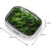 Green Plant Printed Square Pill Box | Portable Travel Medicine Organizer | International Shipping Available - Buy Online on GoSupps.com