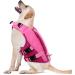 Buy Convinit Life Jacket for Dogs - Adjustable Pink Vest for Small Medium & Large Breeds - Perfect for Boating Swimming & Surfing with Handle & Reflectors - Buy Online on GoSupps.com