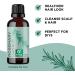 Pure Rosemary Essential Oil for Aromatherapy - Hair, Skin, Nails - 1 Fl Oz - Dry Scalp Treatment - Enhance Shine - Diffuser Oil - Buy Online on GoSupps.com