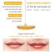 PETITFEE Lip Oil Super Seed | 0.10 Oz | Moisturizing Non-Sticky Lip Care with Honey & Herbal Oils | Glowy & Revitalizing Lip Treatment - Buy Online on GoSupps.com