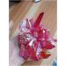Natural Crystal Rough BEGISA Crystal 445g Light Red Quartz Crystal Titanium Bismuth Silicon Cluster Rainbows Natural Stones and Minerals Crystals - Buy Online on GoSupps.com
