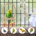 Bird Parrot Toys Swing Hanging - 18 Piece Set for Parakeets, Cockatiels, Lovebirds, Conures, Budgie, Macaws, Finches and Small Pets - Cage Accessories with Perch, Ladder, Chewing Toys, Hammock - Buy Online on GoSupps.com