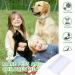Buy White Double-Sided Nit Fine Tooth Combs for Kids & Pets | Flea & Lice Removal Brush | Best Hair Grooming Comb - Buy Online on GoSupps.com