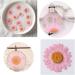 50pcs Natural Dried Daisy Flowers - Vacuum Packed for Decoration & Jewelry Making (5 Colors) - Buy Online on GoSupps.com