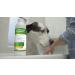 Aqueos Antibacterial Antiviral & Antifungal Dog Shampoo 1 Litre - For Itchy, Minor Wounds, Irritations & Sensitive Skin - Buy Online on GoSupps.com