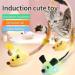 Shengruili Electric Mouse Cat Toy - Interactive Gray Toy for Cats Perfect for Boredom Relief & Playtime - Shop Now! - Buy Online on GoSupps.com