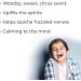 Buy Plant Therapy KidSafe No Worries Essential Oil Blend 10 mL - 100% Pure Therapeutic Grade for Kids - Buy Online on GoSupps.com