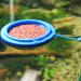Fish Floating Food Feeding Round-shape Fish tank Supplies Aquarium Supplies Professional Design - Buy Online on GoSupps.com