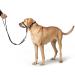 Follow Me M Black Training Harness - Premium Quality for Dogs | International Shipping Available - Buy Online on GoSupps.com