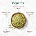 Organic Fennel Seeds (397g/14oz) from Rajasthan, India | USDA Certified | Anti-inflammatory | Ideal for Cooking & Beverages | Resealable Pouch - Buy Online on GoSupps.com