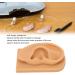 Flexible Silicone Right Ear Model | Waterproof Hearing Tool Display for Education - Buy Online on GoSupps.com