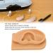Silicone Right Acupuncture Ear Model - Waterproof Hearing Aid Display Accessory for Science Education - Buy Online on GoSupps.com