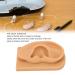 Ear Model Soft Silicone Right Ear Model Clear Structure Science Education Easy To Observe Flexible Waterproof for Display - Buy Online on GoSupps.com