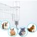 JVHLOV Rodent Water Bottle Hamster Water Bottle Hanging Rodent Drinker No Drips for Small Animal Squirrel Rabbit Chinchilla Guinea Pig Hamster Golden Bear (Clear 180ml*2) - Buy Online on GoSupps.com