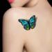 TAFLY 3D Colorful Butterfly Temporary Tattoos - Waterproof Body Art Stickers (5 Sheets) - Buy Online on GoSupps.com