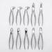 QNMM DISCH TIME 10PC Tooth Extraction Tongs Set for Dentists | Surgical Tooth Extraction Instruments for Adults - Buy Online on GoSupps.com
