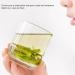 Emei Maofeng Tea Nenbud Fragrance Orchid e Th Vert pour Matcha Chinois en Vrac - Buy Online on GoSupps.com
