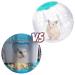 2 Pieces Hamster Exercise Ball 5.7 Inch Hamster Running Ball Transparent Plastic Hamster Ball Wheel for Dwarf Hamsters Small Pets to Reduce Boredom and Increase Activity - Buy Online on GoSupps.com
