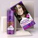 Buy Coloration Perfect Mousse 668 - Noisette | International Shipping Available - Best Hair Color for a Stunning Look - Buy Online on GoSupps.com