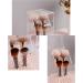 Transparent Acrylic Make-Up Brush Organizer | Dustproof Cosmetic Brush & Eyebrow Pencil Holder for Drawers | Jewelry Storage Box - Buy Online on GoSupps.com