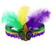 Mardi Gras Feather Headband Sequins Glitter Hair Band for Adult Women Men TSFD14 (Purple)