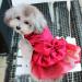 Pet Dog Puppy Bow Gauze Tutu Dress Skirt Cat Sequin Princess Clothes Apparel Dog Accessories Birthday Chirstmas Thanksgiving Valentine's Day Gifts Dark Red L - Buy Online on GoSupps.com