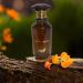 MPF LOST IN WOODS 100ml 3.4oz EAU DE PARFUM Spray - Long Lasting Scent - Unisex Perfume - Buy Online on GoSupps.com