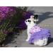 Yekeyi Spring Summer Princess Pet Dress for Rabbits Dogs & Cats - Cute Violet Tutu Costume for Bunnies - XS Flower Decor - Buy Online on GoSupps.com