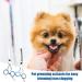 Plksei 2-Piece Dog Care Scissors Set | Professional Round & Curved Scissors for Dogs Cats & Pets | International Shipping - Buy Online on GoSupps.com