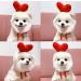 Xiaoyu Dog Hoodies | Warm Pet Sweatshirts for Autumn & Winter | Adorable Fruit Hood Designs - Buy Online on GoSupps.com