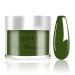 Poudre Ongles 28g Verte Dipping Powder Manucure pour Ongles Fran ais Kits Manucure Salon DIY Sans Odeur & Durable Lampe Ongles Non Requise