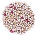 Organic Cranberry Beans  3 Pounds  Non-GMO  Dried Borlotti Beans (Romano Beans)  Sproutable  Vegan  Kosher  Bulk. High in Folate  Fiber  Protein. Product of the USA. Perfect for Stews  Soup  Salads. 3 Pound (Pack of 1) - Buy Online on GoSupps.com