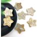 1 Piece Natural Coral Ammonite Star Crystal Stone Suitable for Home Chakra Reiki Balancing - Buy Online on GoSupps.com