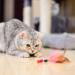 Interactive Cat Wand Toy with Extendable Feather Wand & Fishing Rod - FurDreams Indoor Cat Toys Set for Engaging Play and Exercise - Buy Online on GoSupps.com