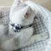 Tagme Cat Collar with Name & Phone Number - Safe Black Kitten Neck Band with Bell - 1 Pack - Buy Online on GoSupps.com