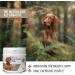 Reavet USA Elm Bark for Dogs & Cats - 120g | Natural Mucus Support & Digestive Health | Premium Quality Slippery Elm - Buy Online on GoSupps.com