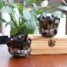 Natural Smokey Quartz Tea Crystal Cluster Stones Crystal Point Specimen Home Decoration Raw Crystals (Color : Smokey Quartz Size : 400-500g) 400-500g Smokey Quartz - Buy Online on GoSupps.com