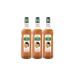 Mathieu Teisseire Passion Fruit Syrup (Pack of 3)