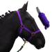Halter for horses with rope |Leading knitting horse with halter |Halfter Shetty Pony thoroughbred Full X-Full with rope (purple COB) Lila COB