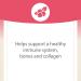 Natural Factors Fruit-Flavor Chewable Vitamin C 500mg - 90 Wafers - Boost Immunity & Health - Buy Online on GoSupps.com