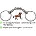 AMKA Snaffle Bit Double Broken Stainless Steel - 18mm Thick 65mm Rings Up to 17.5cm - Durable Equestrian Equipment - Buy Online on GoSupps.com